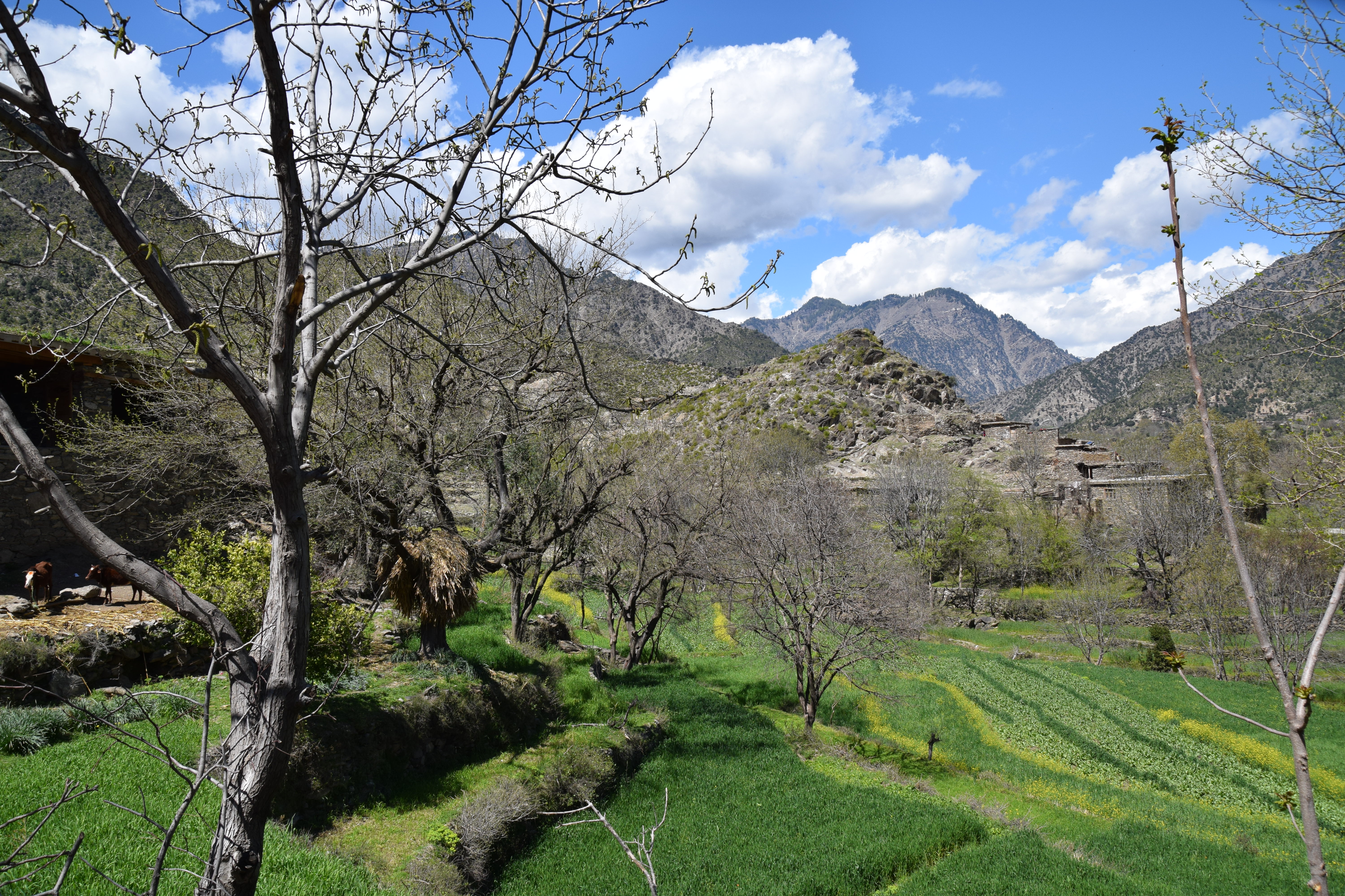 Village of Laché, Shigal Valley, Kunar, Afghanistan