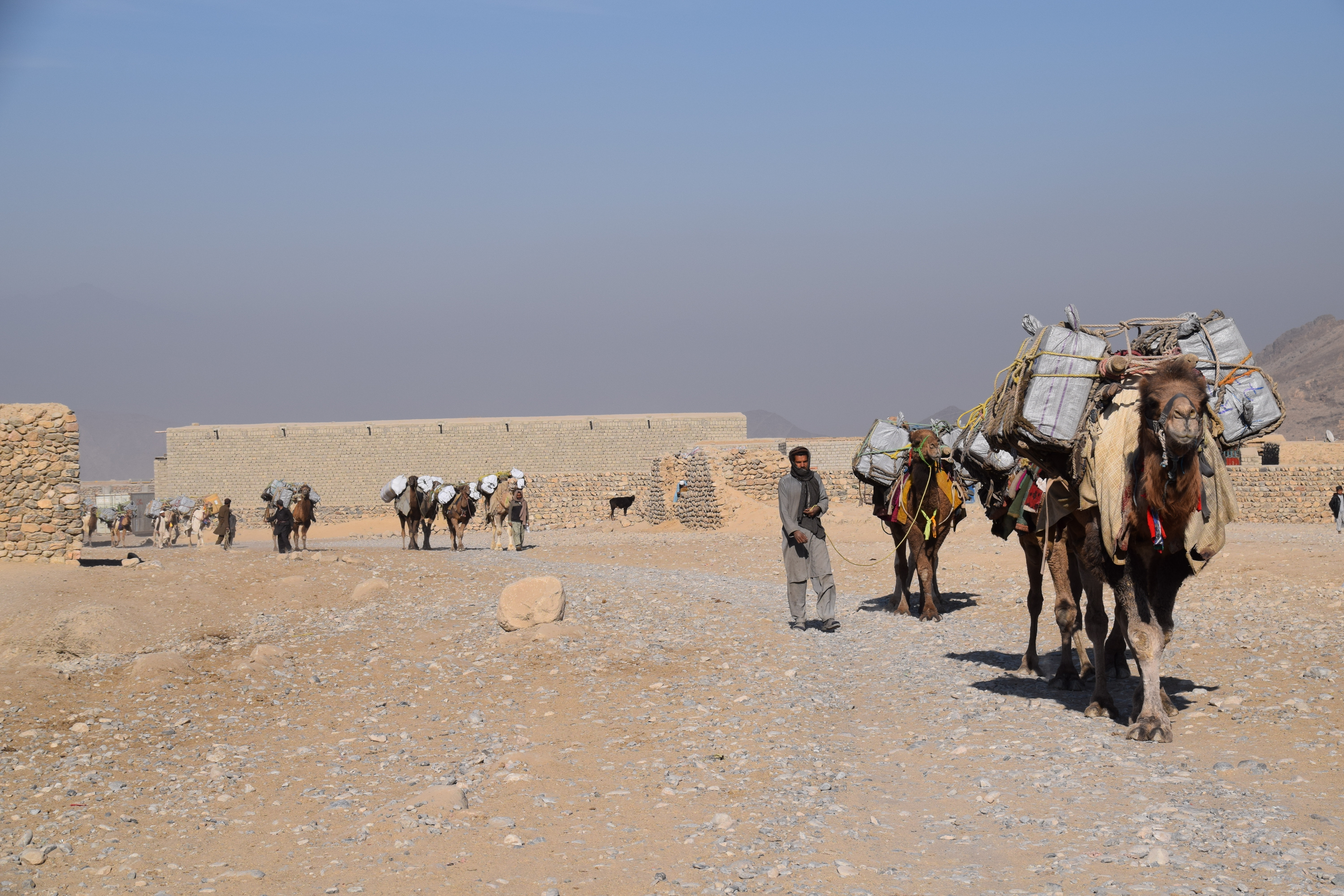 Camel Caravan, Smugglers, Guruko, Dur Bobo, Nangarhar, Afghanistan